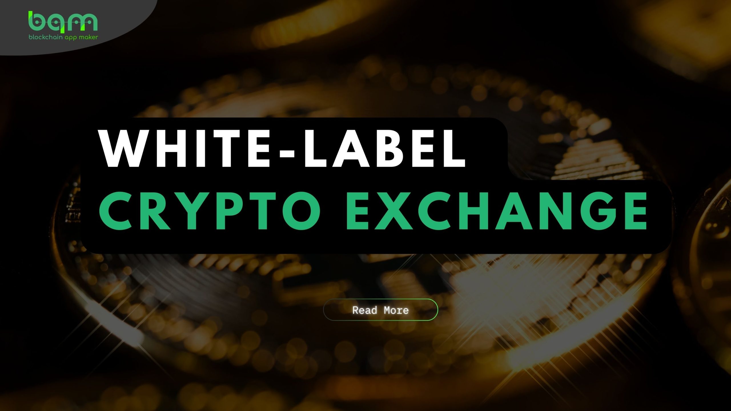 You are currently viewing White-Label Crypto Exchange: A Comparative Guide for Entrepreneurs (2025 Edition)